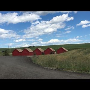 Meet your Posher, Dawn-marie